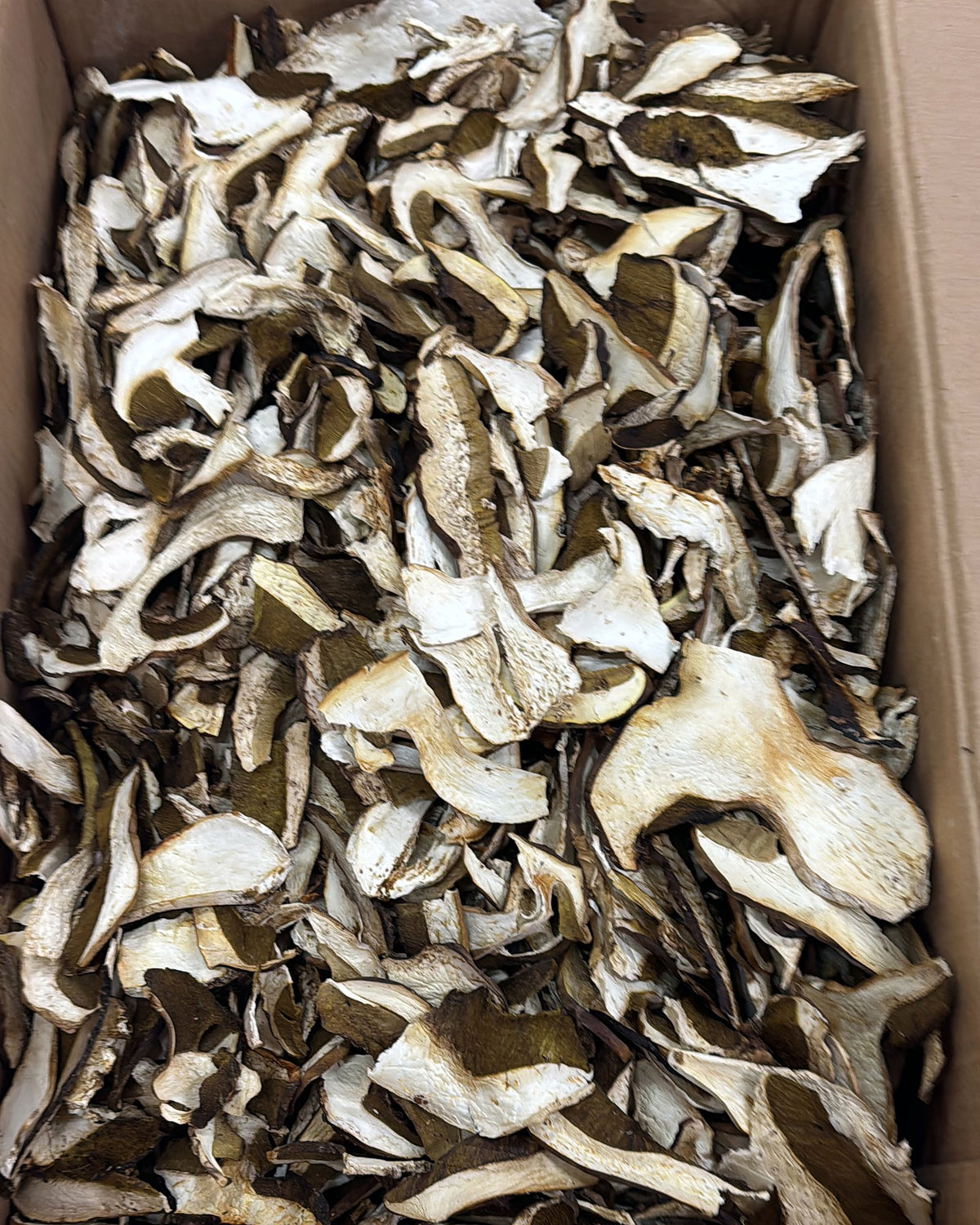 Getrocknete Steinpilze in Scheiben, in der Box