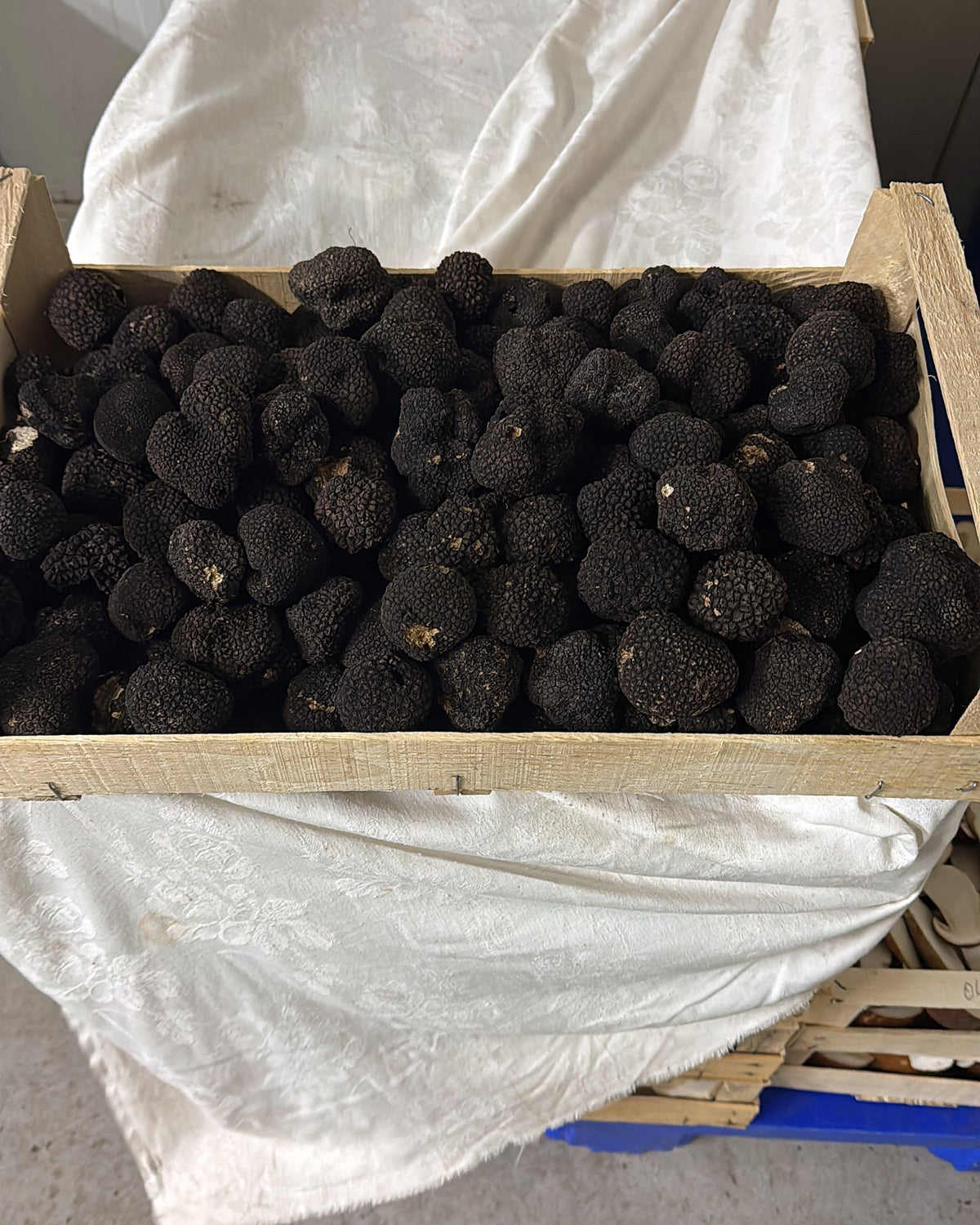 Kisten mit frischen schwarzen Trüffeln