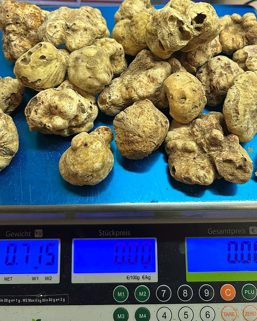 Frische weiße Trüffel, 715 g auf der Waage